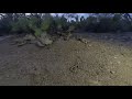 Sand Snake 3D VR180 Test