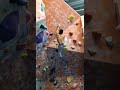 When your fit non climber friend tries climbing (V2 to V4 rated)