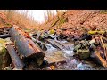 Autumn River Sounds - Relaxing Nature Video - Sleep / Relax / Study - 1 Hours - HD 1080p