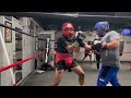 Self Taught VS Self Taught BOXING