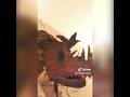 Paper Dragon puppet Compilation 2.  Lesser known TikTok creators.