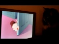 Honey watching Bugs Bunny