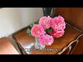 Fashionable rose garden [open garden tour] closed private house / gardening