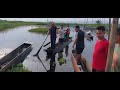 Fishing at loktak lake// fresh fish  // Cage farm // Grass carps