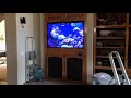 AMAZING! 100 Gallon Reef Aquarium (service account)