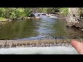 Amazing Trout Fishing Spot on River - Actor Vlog 35