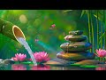 Relaxing Spa Music🌺Spa Music, Meditation Music, Calming Music🌺Nature Sounds, Bamboo Water Sounds