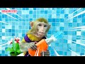 Bayi Monyet KiKi mandi di toilet dengan bebek dan pergi | Kartun Monyet Lucu | Hewan KIKI Channel