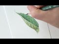 초보자를 위한 색연필로 잎사귀의 앞 뒷면 표현하는 방법 / How to draw the front and back of a leaf with colored pencils