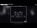 Yung Bleu - What It Means (Official Audio)