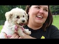 Rescued Puppy Mill Dogs Get a Second Chance