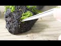How to grow fern and moss on lavastone #114