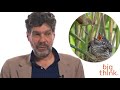 The Social Brain: culture, change and evolution | Bret Weinstein (Full Video) | Big Think