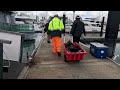 Snapper Fishing 2024 - CCEP NZ