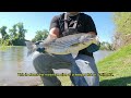 Relaxing Day River Bait and Wait Fishing Striped Bass (Sacramento River)