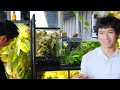 Inside JiaHao’s Plant-filled Home | houseplant collection