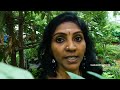 200-ൽ പരം ഔഷധ സസ്യങ്ങളുമായി ഷീബ രാജു | Rare Herbal Plants&Medicinal Plants And Uses