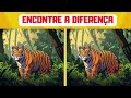 ENCONTRE O ERRO EM 30 SEGUNDOS! ANIMAIS DA SAVANA AFRICANA