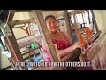 CRAZY WOODEN BRIDGES in Abra! Philippines Backdoor Motor Travel!