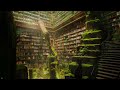 Lofi Study Ruins Library 📚️ Vibes Ambient Nature Sounds with Chill Cats ChillHop Radio