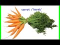 carrot , English Pronunciation