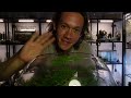 Watch What Happens When I Put A Mushroom In A Terrarium