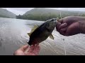 LEHIGH RIVER FISHING With Jerk Bait - 9 / 7 / 2024