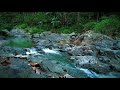 Water Therapy Relaxing River Sounds Upgrade Immunity and Positive Energy