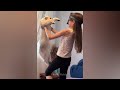 Funny Animals Compilation #4 😹🐶 Funniest Cats and Dogs Videos 2024