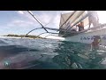Tiburones ballena en Donsol, Filipinas - Turismo responsable