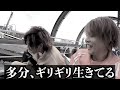 リアルピース100万人!🤣富士急で2回目のFUJIYAMA乗ってきた💛🧡💙💜💚(2023年3月)※概要欄にリンクがありますのでリアルピースのチャンネル登録お願いします🙏