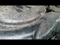 Freelander High Pitch Noise.mp4