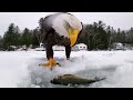 ❤️ Leo Rojas - El Condor Pasa ❤️Лео Рохас - Полёт кондора❤️