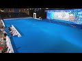 FCI Dog dance World Championship 2016 – Freestyle final  - Lusy Imbergerova and Deril (Italy)