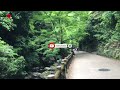 TERNYATA SAMA HIJAU NYA BUKIT NARA DAN HUTAN MINO DI OSAKA JEPANG