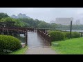 Ultra Relaxing Heavy Rain Walk. Sound for Sleep Study Meditation. White Noise ASMR.