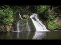 Forest River flowing in Early Morning 4k  Relaxing River Sounds, White Noise for Sleep, Meditation