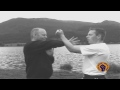 wing chun Ways Siu Lim Tao Intro DVD Fighting Techniques