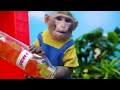 KiKi Monkey play Pink vs Black Ice Cream challenge at swimming pool with Duckling | KUDO ANIMAL KIKI