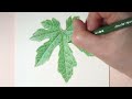 초보자를 위한 색연필로 잎사귀 그리기 / tutorial /Drawing leaves with colored pencils / Botanical art