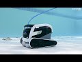 Best Dolphin Robotic Pool Cleaners 2024 🏊‍♂️🤖 [Don't Buy Until You WATCH This!]