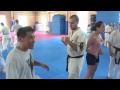 Kyokushin WKB Spain Summer Camp Dr.F's seminar part 1