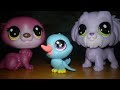 LITTLEST PET SHOP | Mystery Blind Bags Toy Unboxing & Review | TOY2SHO