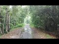 Relaxing Walking in the Rain, Umbrella and Nature Sounds for Sleeping and Relaxation | 4k ASMR sound