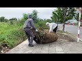 Neighbors LAUGH when we clean the sidewalk, which is where they dump their trash every day