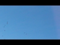 UFO passes circling hawks / birds - Albuquerque, NM HD -- NEW posted 10/05/14