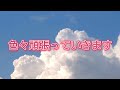 キッショッ…なんで意思表示なんだよ