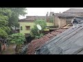 Naturally Peaceful And Beautiful forest Village Life in Rainy Season | Rural Life India village