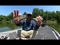 Easy Swimbait Tricks To Catch Big Bass All Summer!