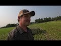 First Cut Sorghum Baleage & Our 15,000 Gallon Water Silo (149)